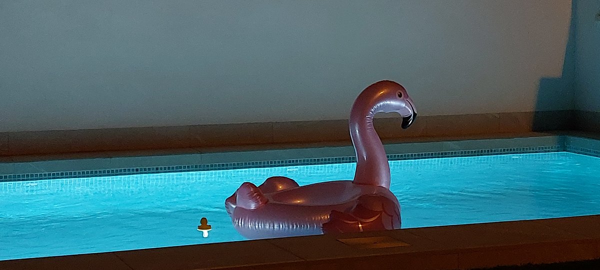 Foto 7