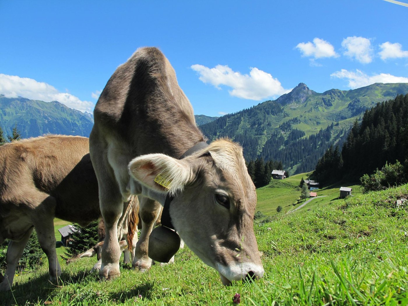 Oostenrijk foto 1